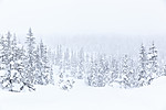 KA_140201_0231
