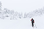 KA_140201_0237