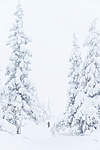 KA_140201_0240