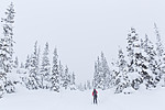KA_140201_0247