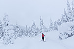 KA_140201_0256