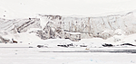KA_140614_4641 / Ursus maritimus / Isbjørn