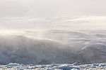 KA_140614_4872