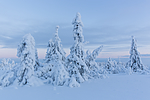 KA_160109_135