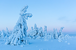 KA_160109_138