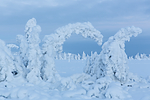 KA_160109_146