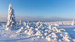 KA_160109_81