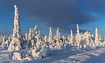 KA_160109_85