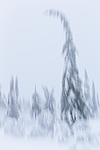 KA_160110_10