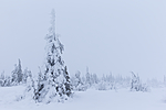KA_160110_14