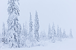 KA_160110_20