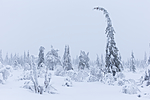 KA_160110_7