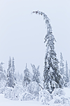 KA_160110_9