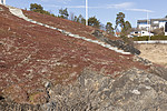KA_170323_12