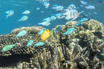 KA_170709_110