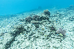 KA_170709_27