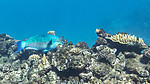 KA_170716_102