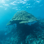 KA_170716_35