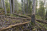 KA_171101_19