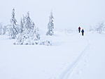 KA_180225_1