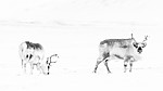 KA_180302_107-2