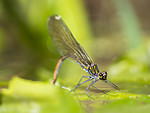 KA_180616_42