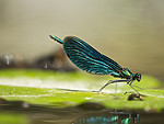 KA_180616_63