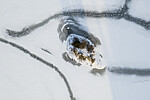 KA_190113_1
