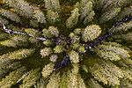 KA_191013_1