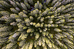 KA_191013_4