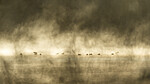 KA_191129_17