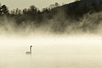 KA_191129_24