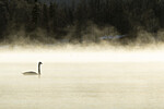 KA_191129_28