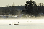 KA_191129_30