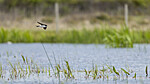 KA_210525_48