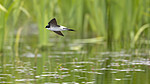 KA_210525_51
