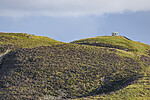 KA_210815_71