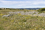 KA_220709_10