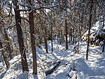 P2185058