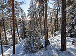 P2185071