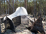 P5051418