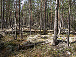 P5051462