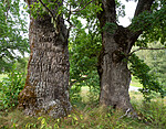P8244103