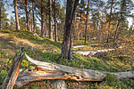 SIG_0208