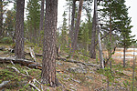 SIG_0284-2