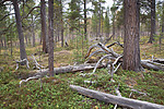 SIG_0316