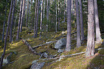 SIG_0951