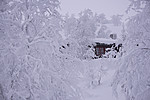 SIG_1278
