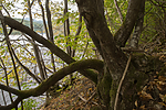 SIG_2719