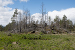 SIG_3795